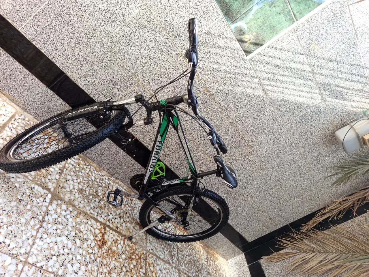 دوچرخه|دوچرخه، اسکیت، اسکوتر|رامشیر, |دیوار