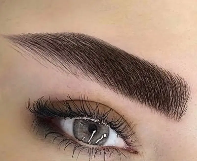 تکنیک جدید ابرو ۱۹۰۰|خدمات زیبایی و سلامت|تهران, امام زاده عبدالله|دیوار