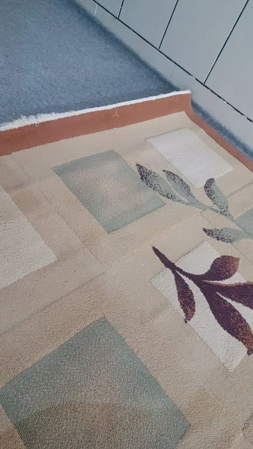 یک عدد گلیم فرش ۶ متری تمیز شسته شده|فرش|اندیمشک, |دیوار