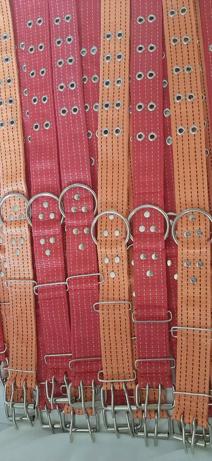 زنجیر|لوازم جانبی حیوانات|مسجد سلیمان, |دیوار