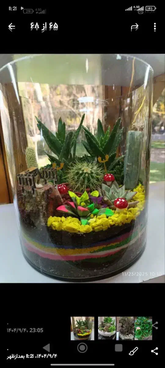 انواع گل طبیعی|گل و گیاه طبیعی|اصفهان, دنارت|دیوار