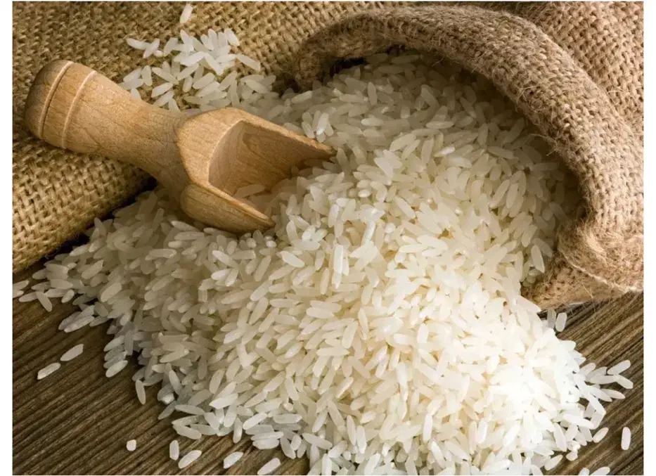 برنج کشت دوم|خوردنی و آشامیدنی|ساری, |دیوار