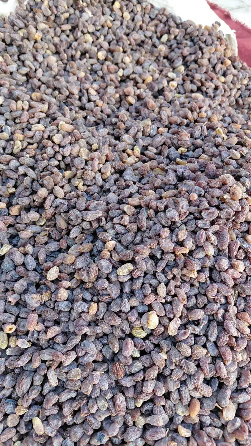 کشمش آفتابی تمیز شده درجه یک|خوردنی و آشامیدنی|بوانات, |دیوار