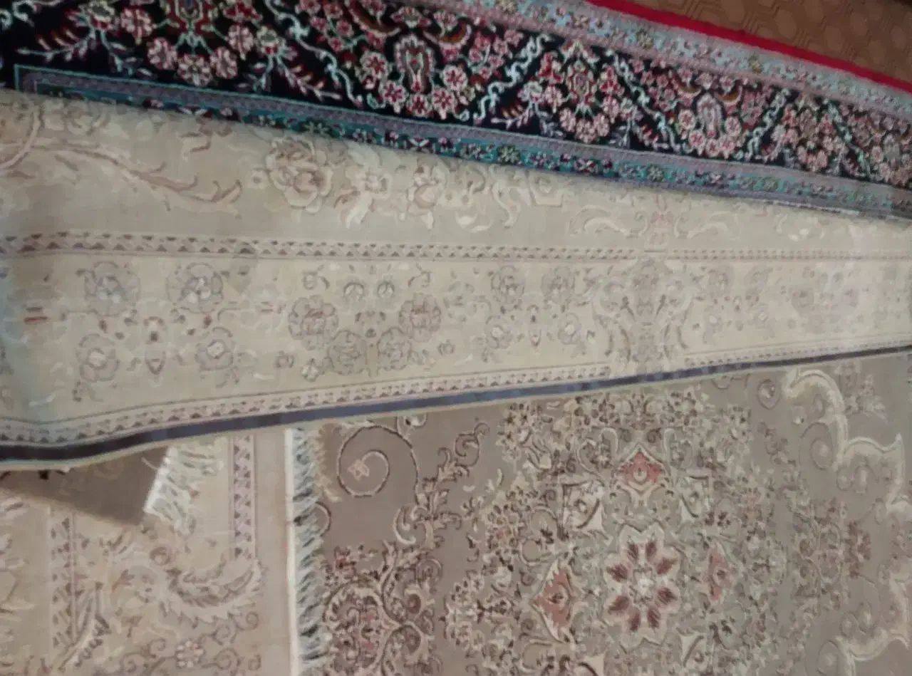 فروش فوری فرش ۱۲متری|فرش|پیر بکران, |دیوار