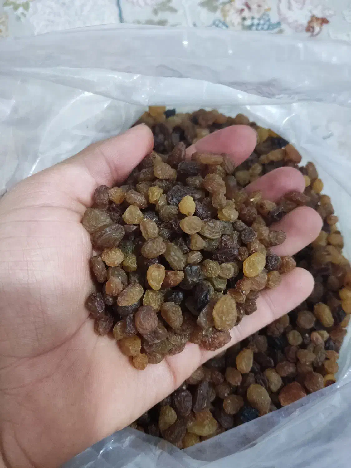 کشمش پلویی بدون تیز آب|خوردنی و آشامیدنی|قم, علی آباد سعدگان|دیوار