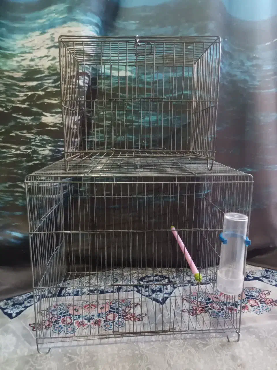 قفس پرنده|لوازم جانبی حیوانات|ملارد, |دیوار