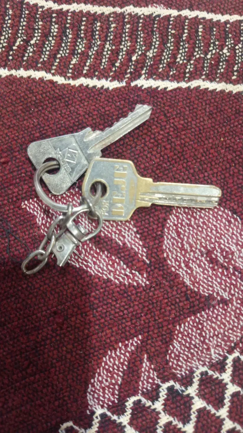 تفانچه میخ زن|ابزارآلات|هامون, |دیوار