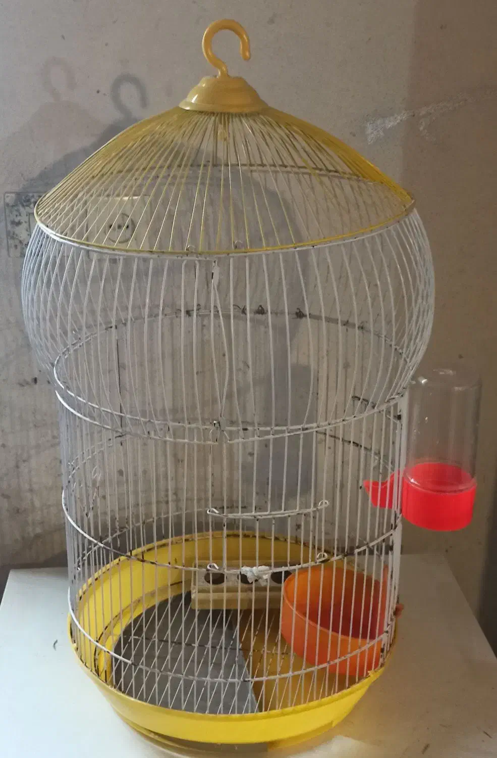 قفس پرنده|لوازم جانبی حیوانات|اردبیل, |دیوار