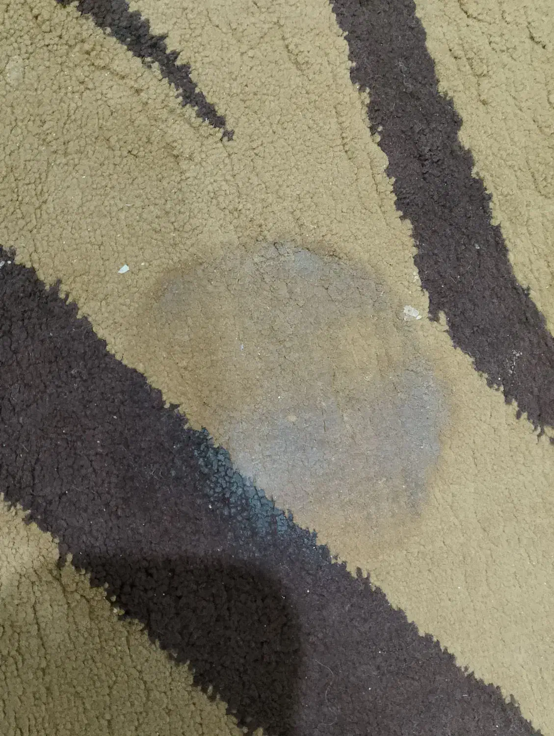 فرش آشپز خانه|فرش|کرج, خرمدشت|دیوار