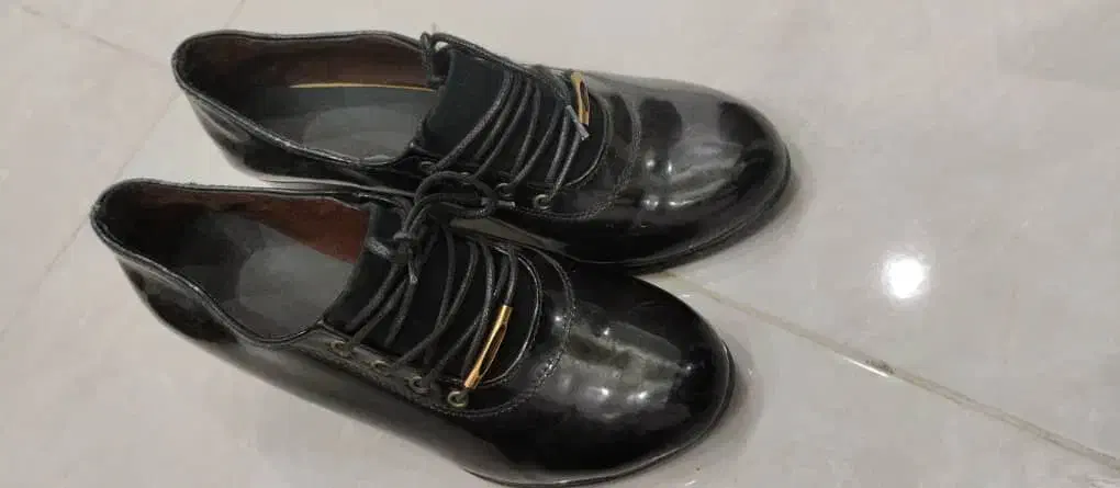 کفش نو|کیف، کفش، کمربند|گرگان, |دیوار