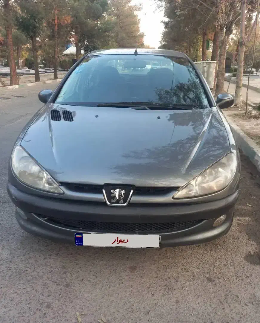 فروش خودرو. sD موتور Tu5 206|خودرو سواری و وانت|رودبار, |دیوار