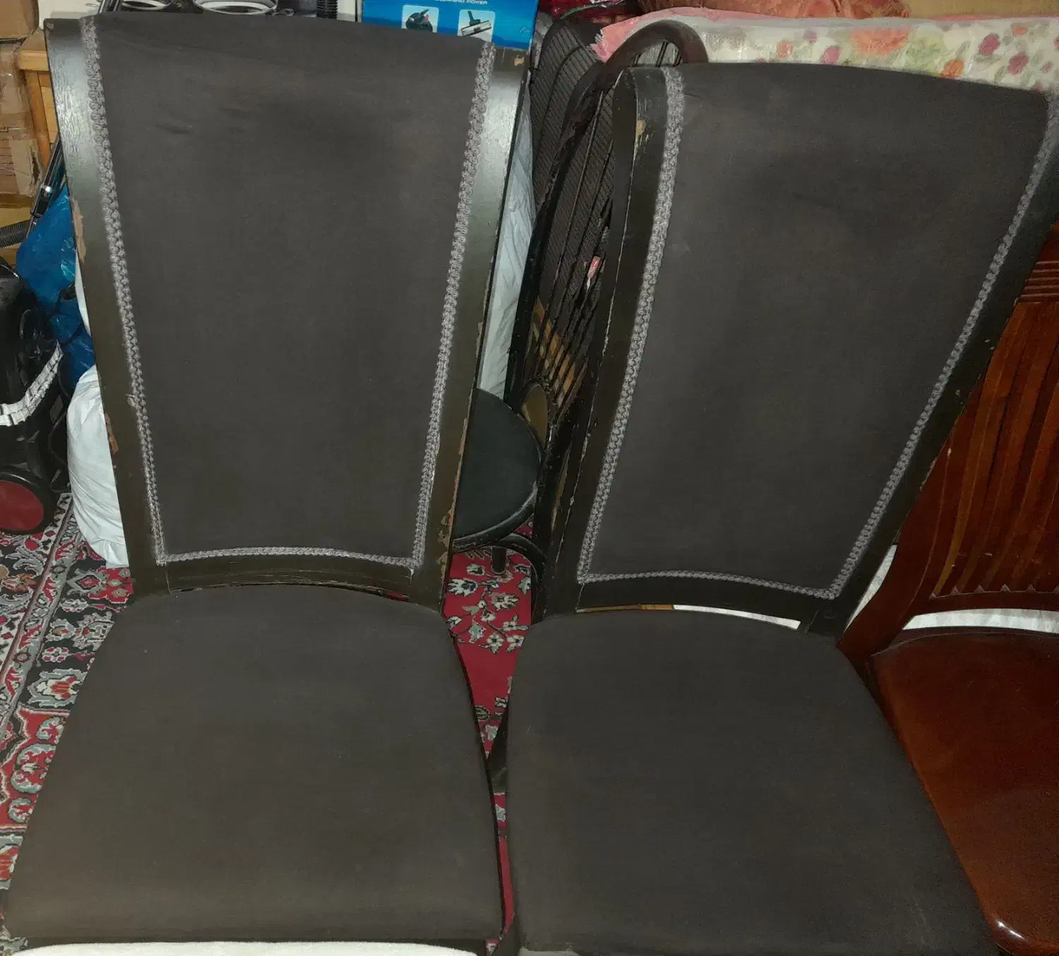 صندلی نهارخوری|میز و صندلی غذاخوری|بندر ترکمن, |دیوار