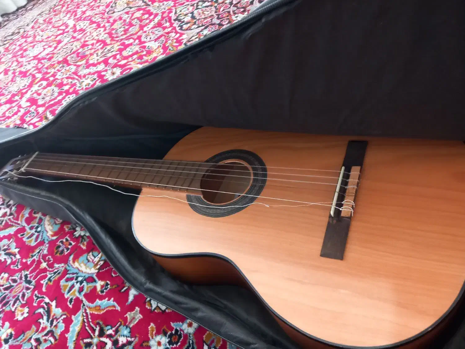 گیتار آموزشی رویال|گیتار، بیس، امپلیفایر|همدان, |دیوار