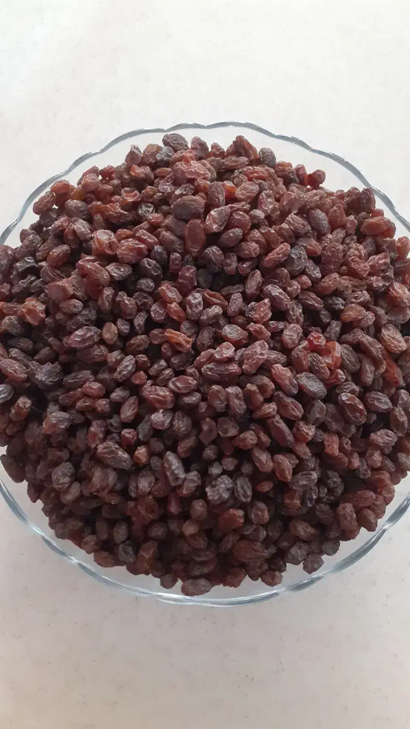 کشمش آفتابی تاکستان|خوردنی و آشامیدنی|محمدیه-قزوین, |دیوار