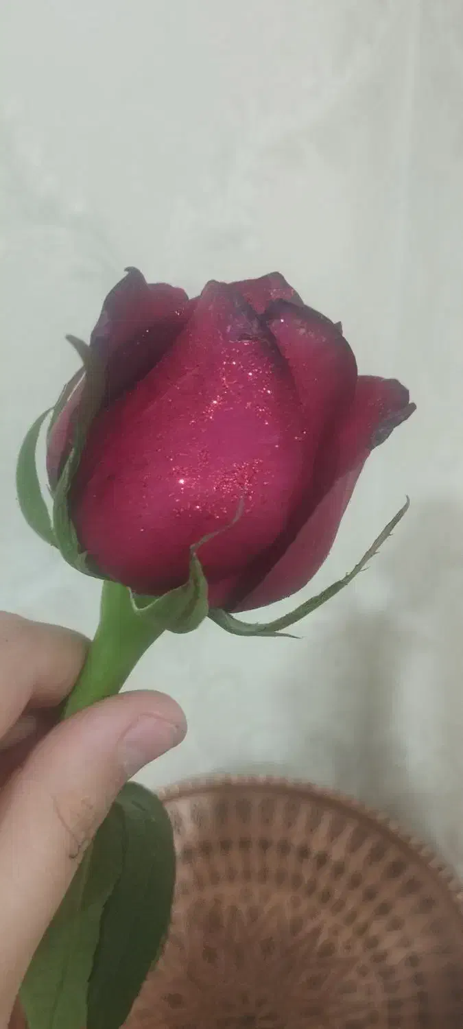 سیم کارت اعتباری|سیم‌کارت|ابهر, |دیوار