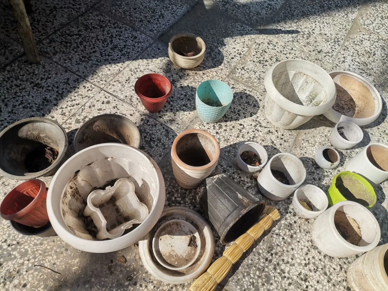 گلدان|گل و گیاه طبیعی|مینودشت, |دیوار