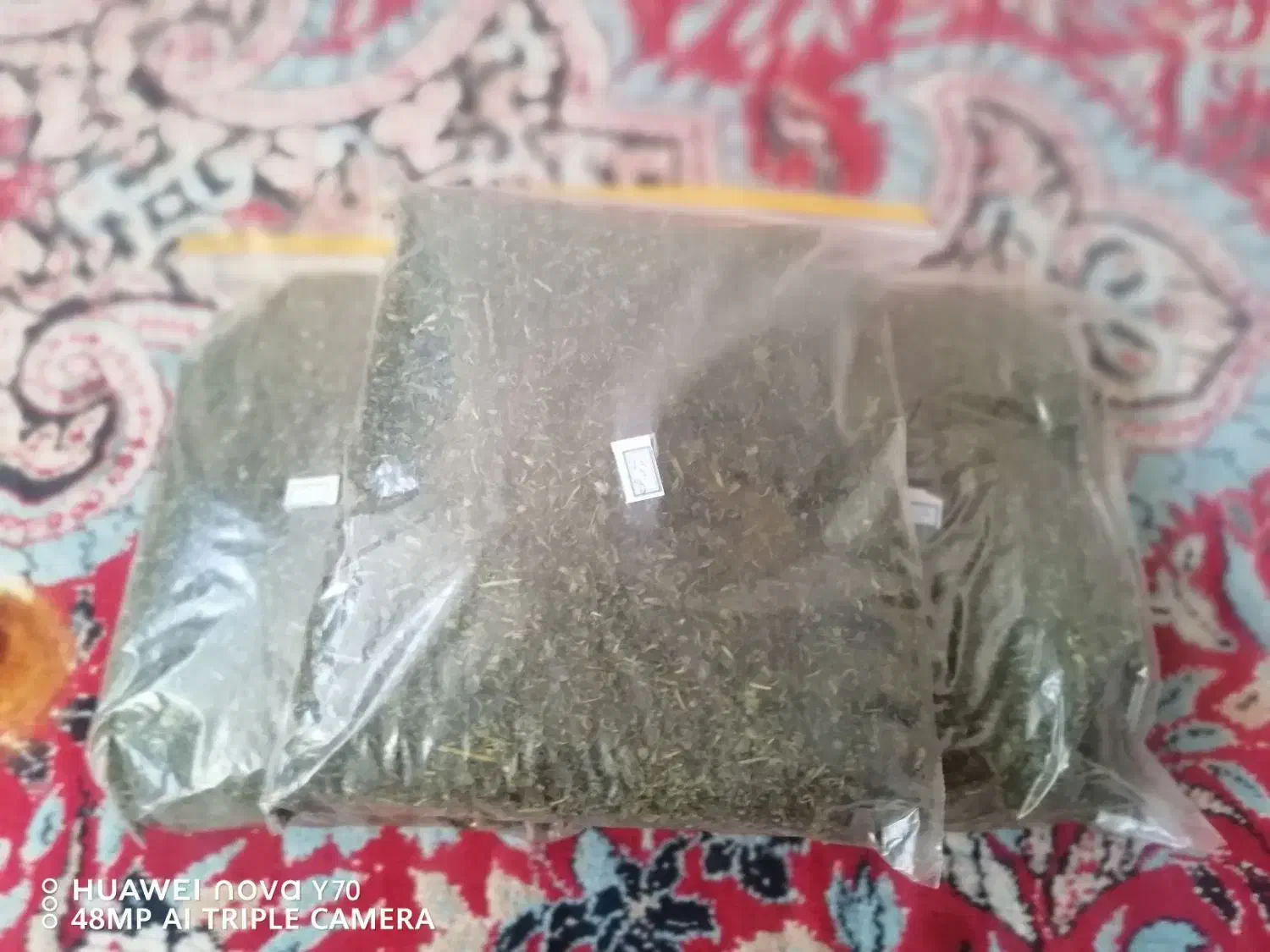 سبزی خشک قورمه سبزی|خوردنی و آشامیدنی|شیراز, مسلم|دیوار