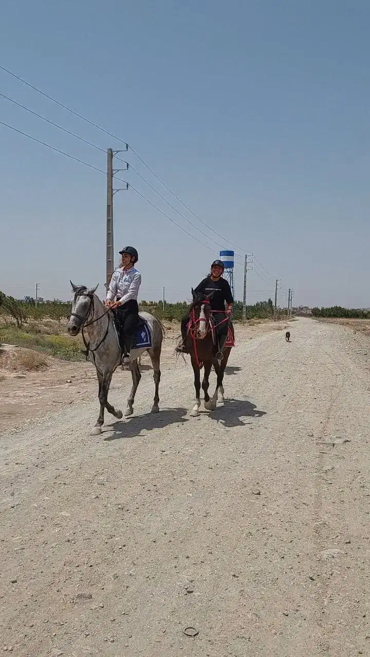 آموزش سوارکاری|اسب و تجهیزات اسب‌سواری|رباط‌کریم, رباط‌کریم|دیوار