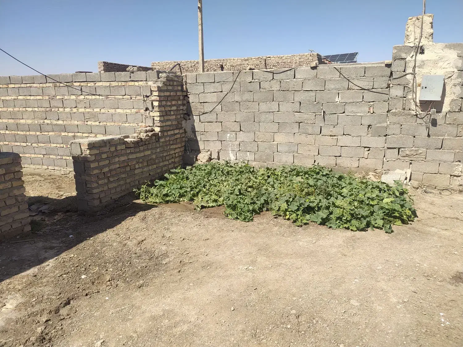 اجاره و فروش خانه در شهرک گلخانی|اجارهٔ خانه و ویلا|صابری, |دیوار