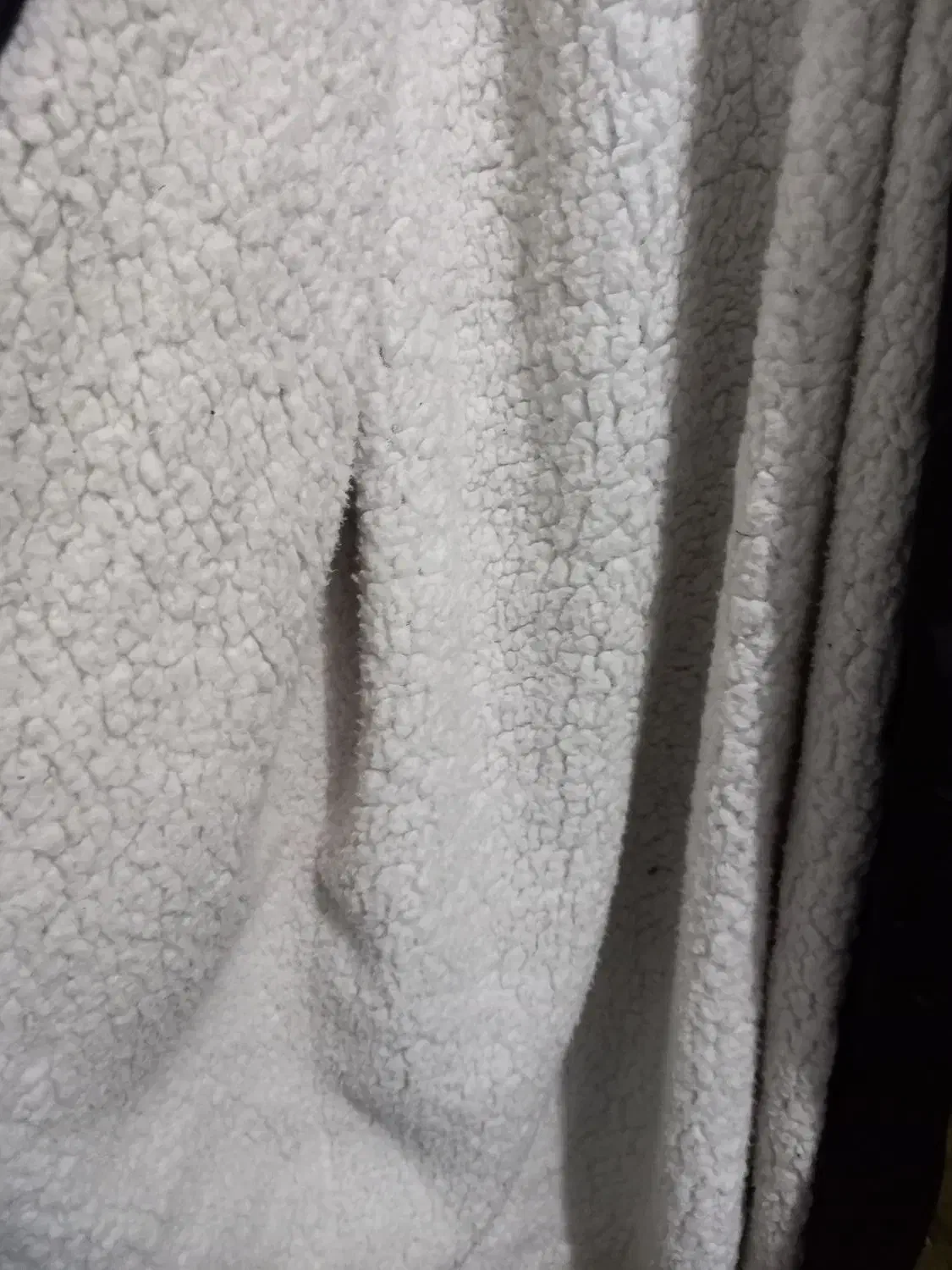 بارونی دخترانه|لباس|قدس, شهرقدس|دیوار