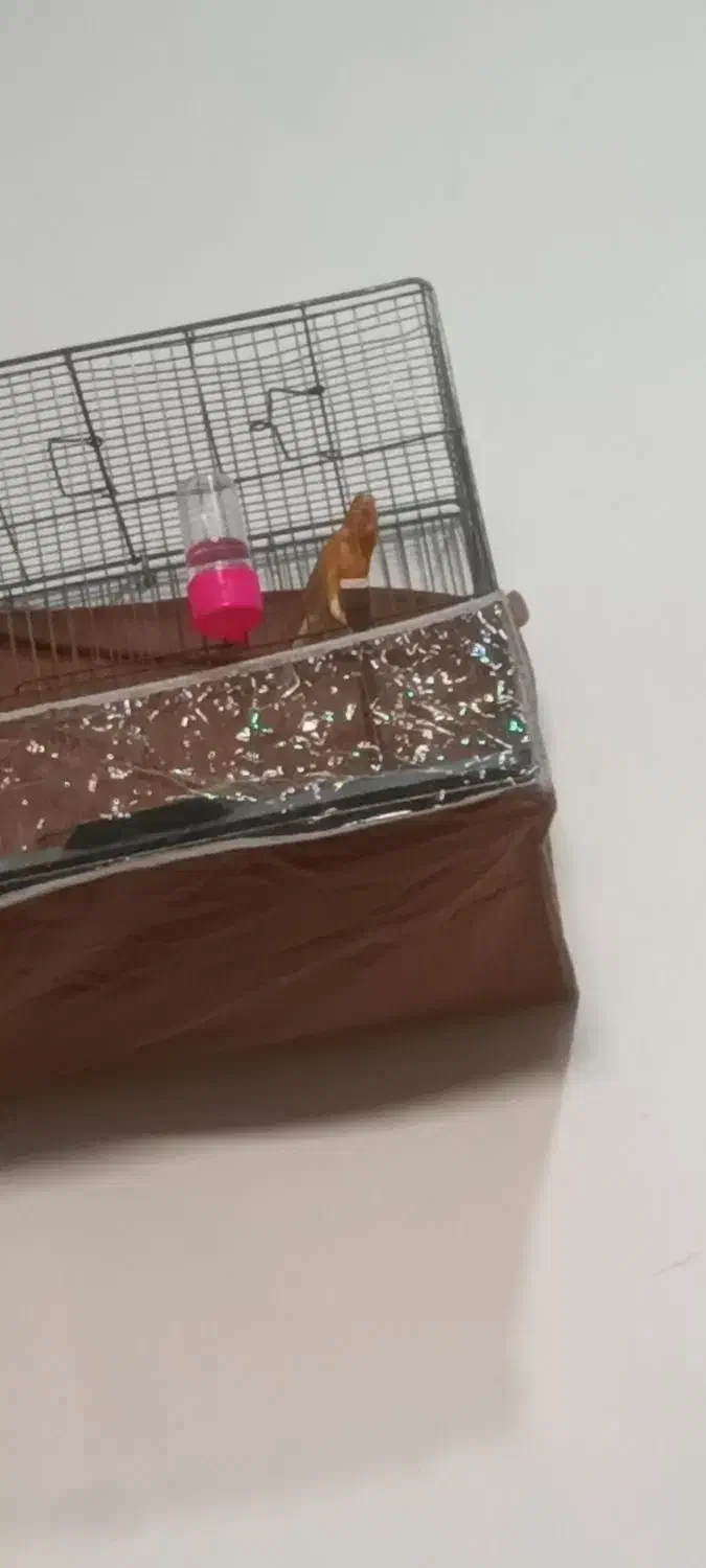 سه عددقناری نربخون|پرنده|گلزار, |دیوار