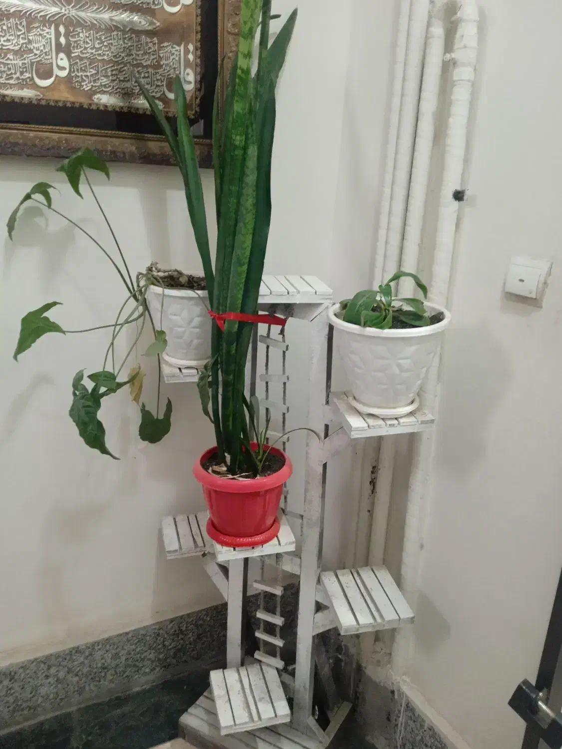 پایه گلدان|گل و گیاه طبیعی|مشهد, یوسفیه (شهرک غرب)|دیوار