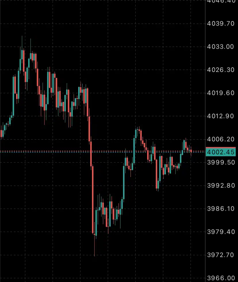 لایو ترید|خدمات آموزشی|ارومیه, |دیوار