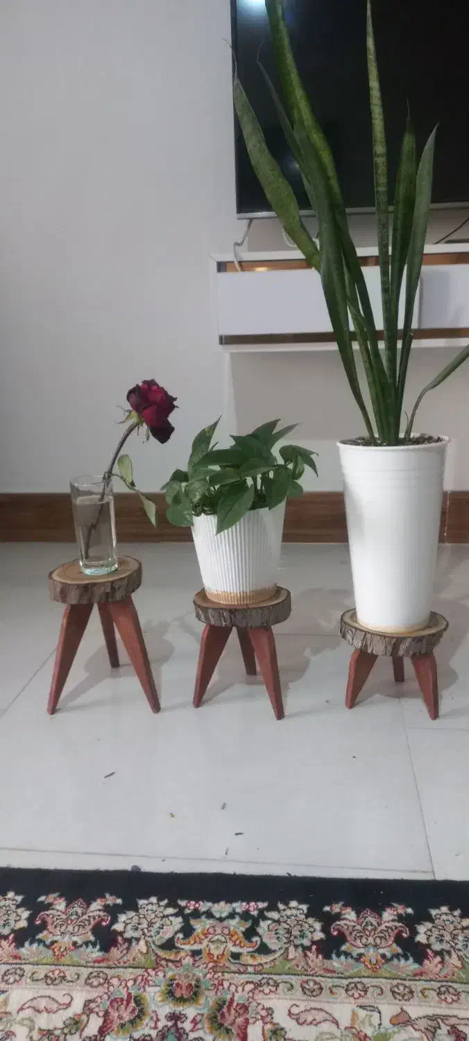 ساخت استندگل(پایهگل) و جا کلیدی چوبی|گل و گیاه طبیعی|بجنورد, |دیوار