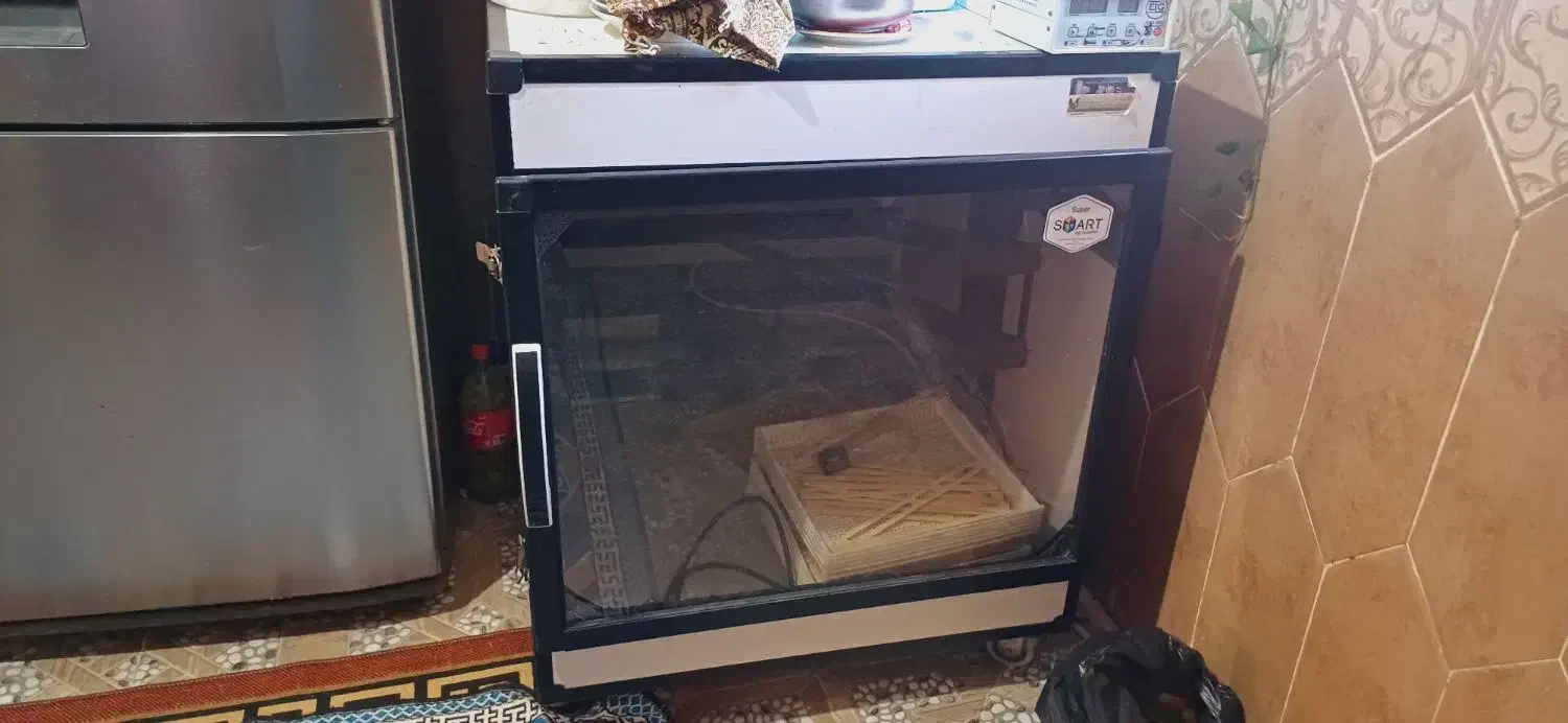 لوازم جانبی وحیوانات|لوازم جانبی حیوانات|بهشهر, |دیوار