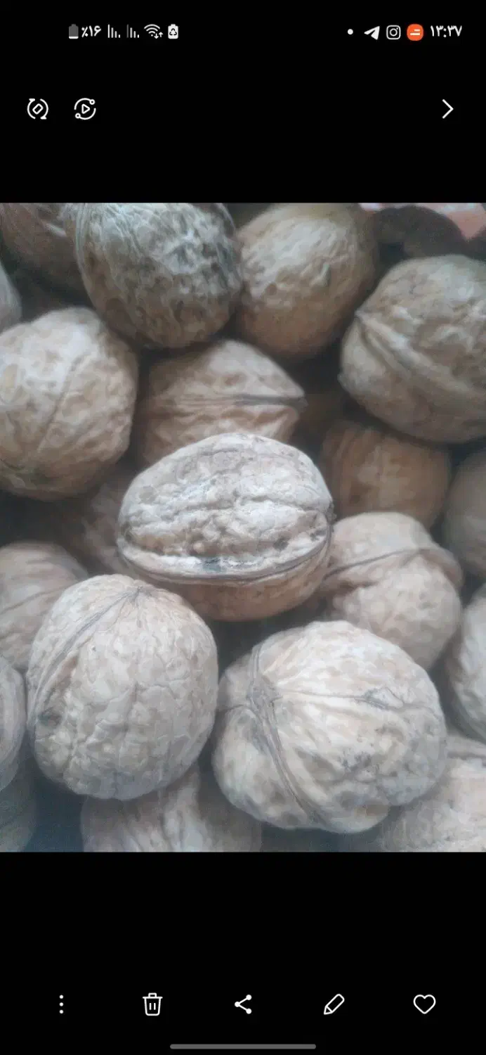 فروش گردو|خوردنی و آشامیدنی|گلمکان, |دیوار