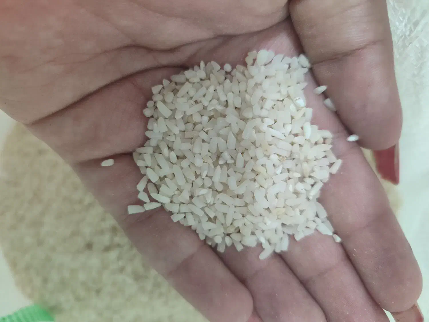 برنج هاشمی و چای اصل و زیتون گیلانی|خوردنی و آشامیدنی|نسیمشهر, |دیوار