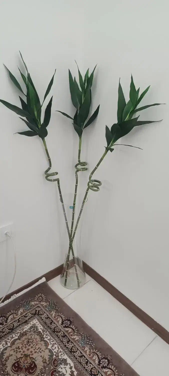گل بامبو|گل مصنوعی|تهران, خاک سفید|دیوار