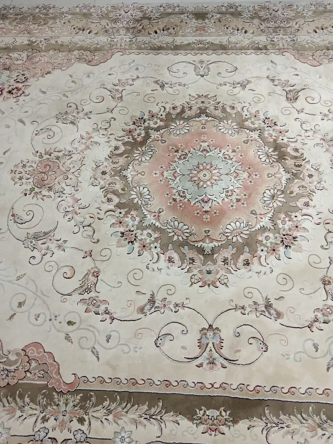 قالی 12متری گل برجسته درحدنو|فرش|تربت جام, شاهد|دیوار