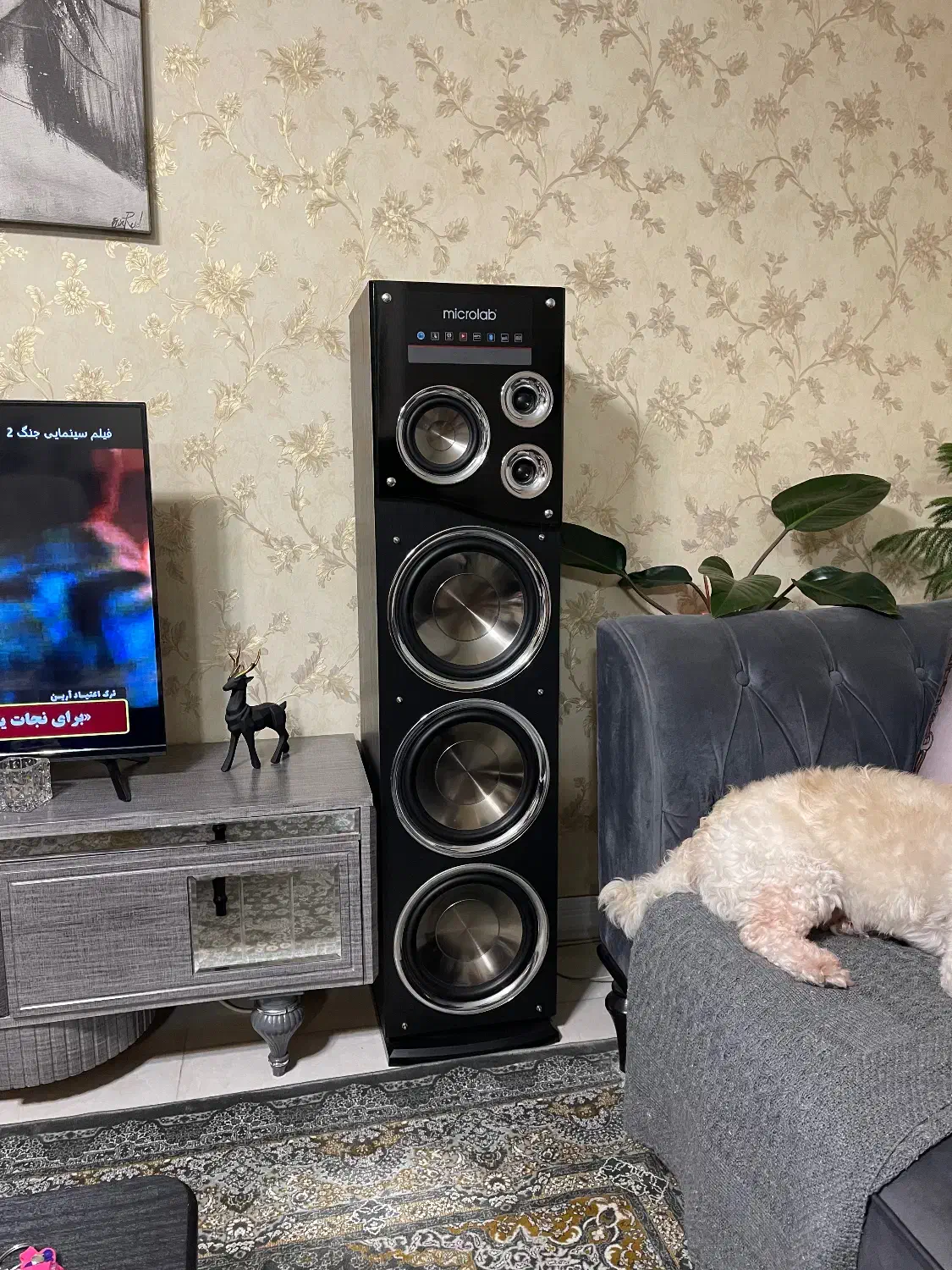 اسپیکر میکرولب در حد اک به همراه میکروفن و کارتن|سیستم صوتی خانگی|تهران, تهرانپارس غربی|دیوار