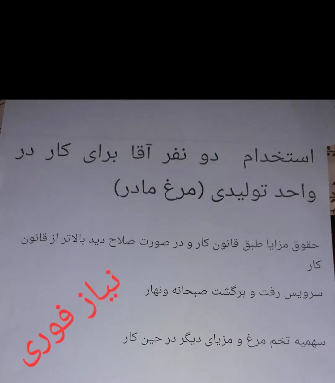 دوست|تلفن رومیزی|بناب, |دیوار