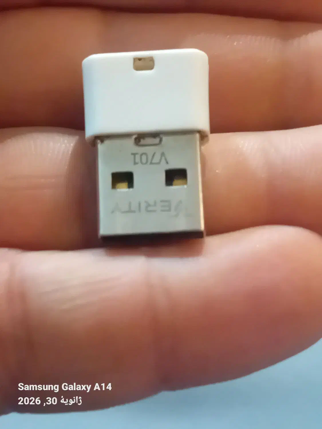 فلش ۸G|پخشکننده همراه|گنبد کاووس, |دیوار