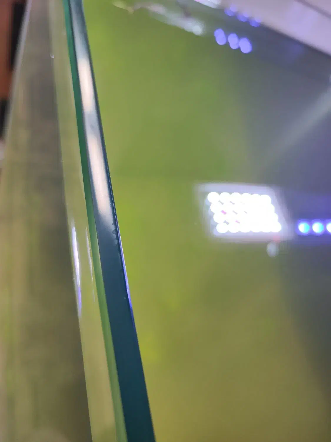 آکواریوم طرح ریملس|ماهی|بیرجند, |دیوار