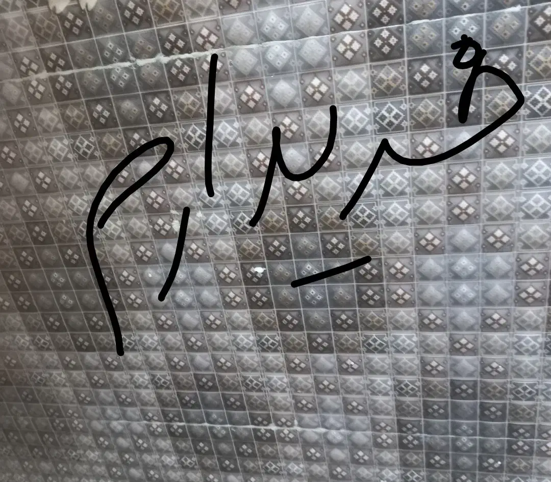 سرامیک|مصالح و تجهیزات ساختمان|رشت, یخسازی|دیوار