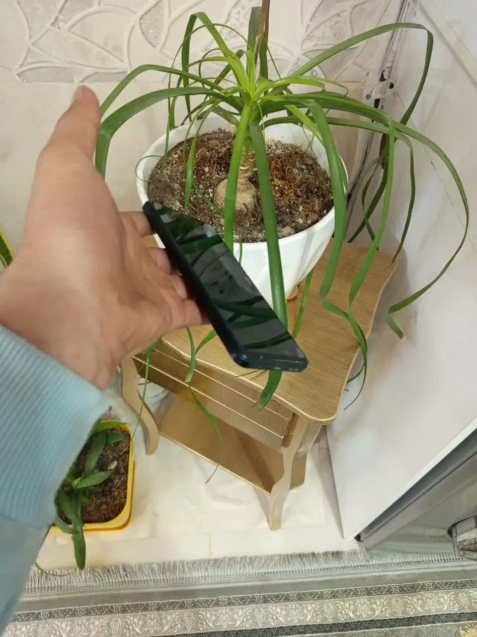 نوت 12|موبایل|قم, سراجه (۱۵ خرداد)|دیوار