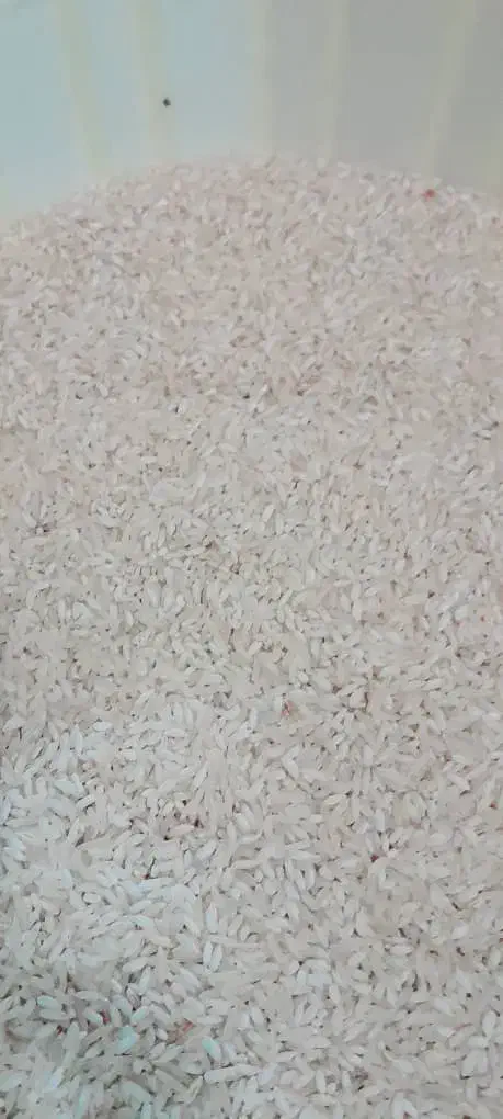 برنج فجر|خوردنی و آشامیدنی|سنگدوین, |دیوار