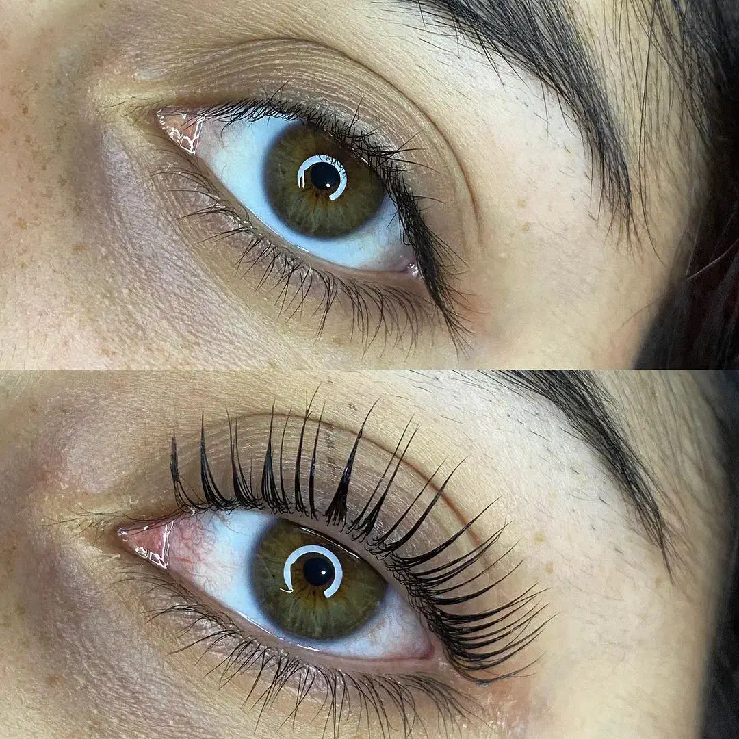 مدل لیفت مژه|خدمات آرایشگری و زیبایی|رشت, دیلمان|دیوار