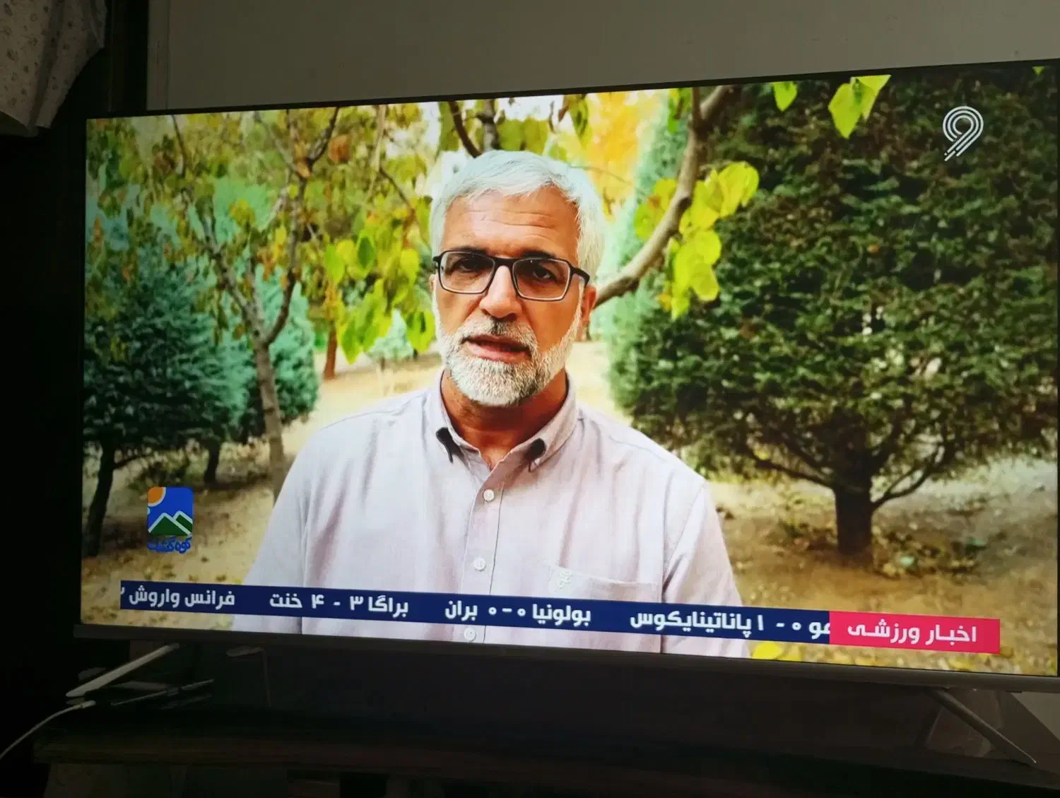 تلویزیون سونیا ۶۵ اینچ|تلویزیون و پروژکتور|یزد, |دیوار