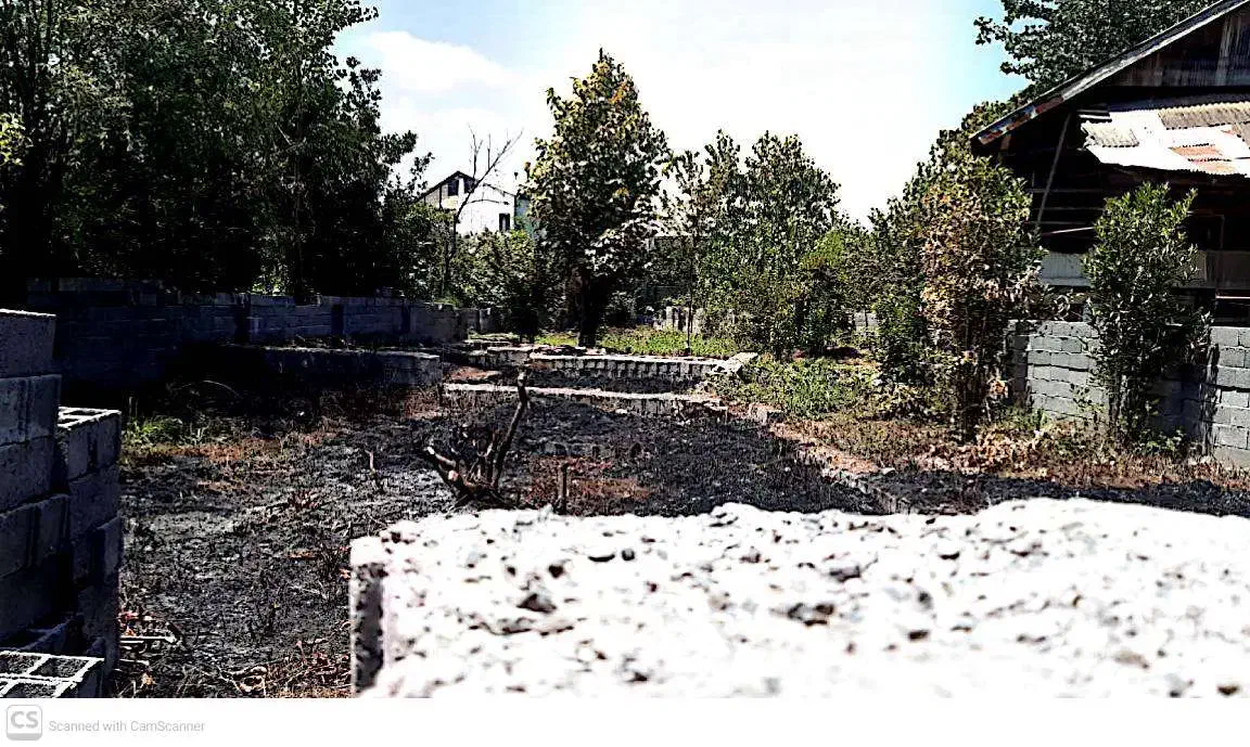 زمین 651 متری سنددار با پروانه ساخت|فروش زمین و ملک کلنگی|کیاشهر, |دیوار