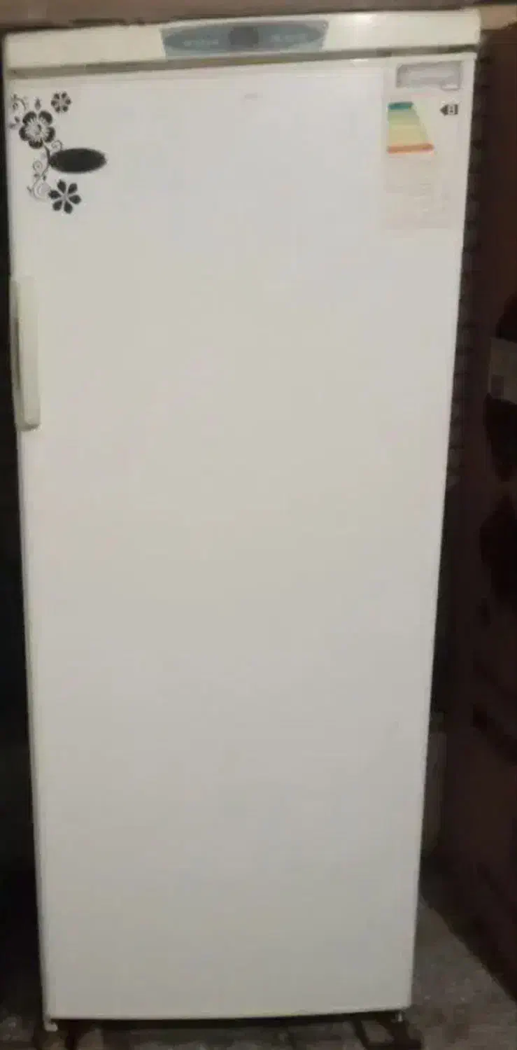 یخچال ارچ|یخچال و فریزر|طبس, |دیوار