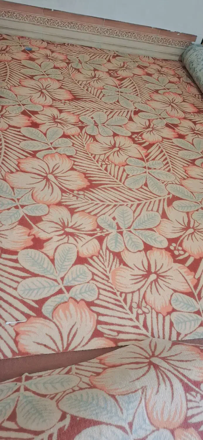 موکت ۲۴ متر و۱۲متر|موکت|تایباد, |دیوار