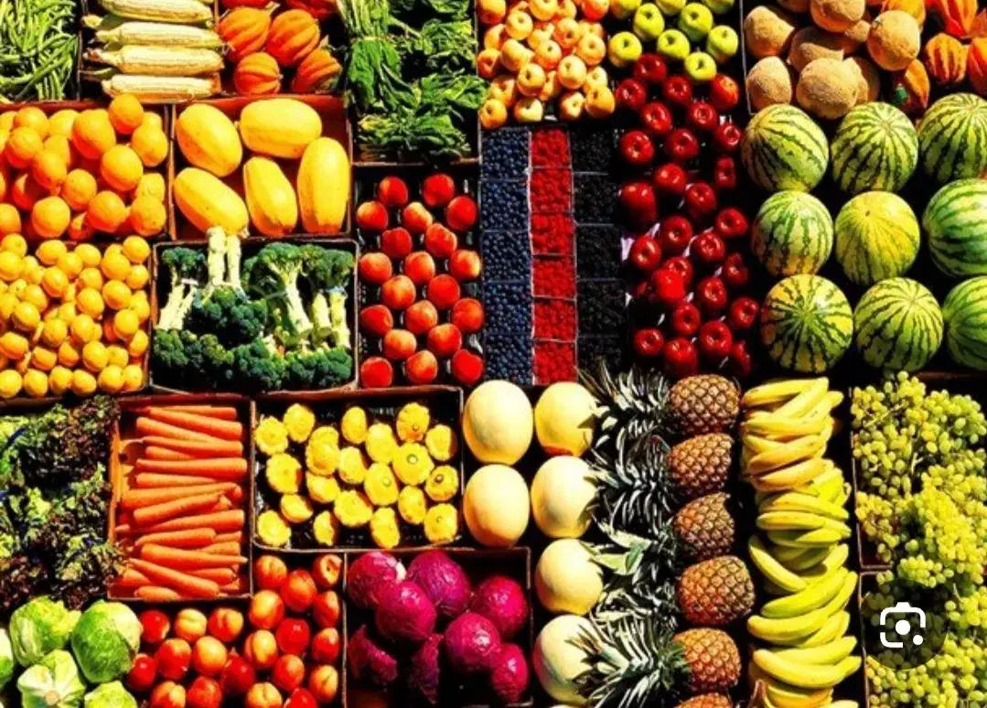 تفریح|حراج|بروجرد, |دیوار