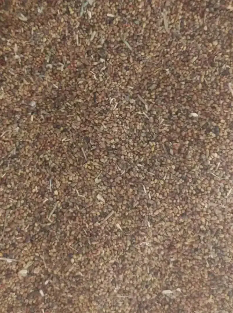 تخم یونجه مارال|خدمات باغبانی و درختکاری|سنقر, |دیوار