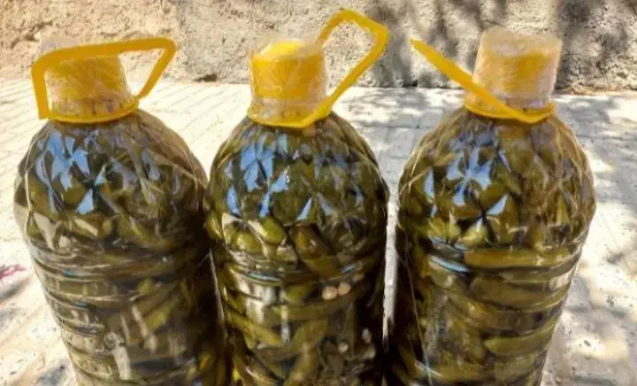 خیارشور بُستان آذربایجان|خوردنی و آشامیدنی|کرج, آق تپه|دیوار