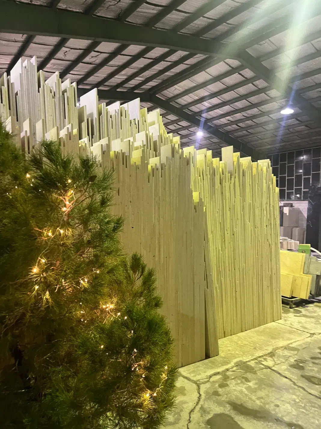 درخت کریسمس طبیعی ارتفاع ۳متر|گل و گیاه طبیعی|اصفهان, باغ زرشک|دیوار