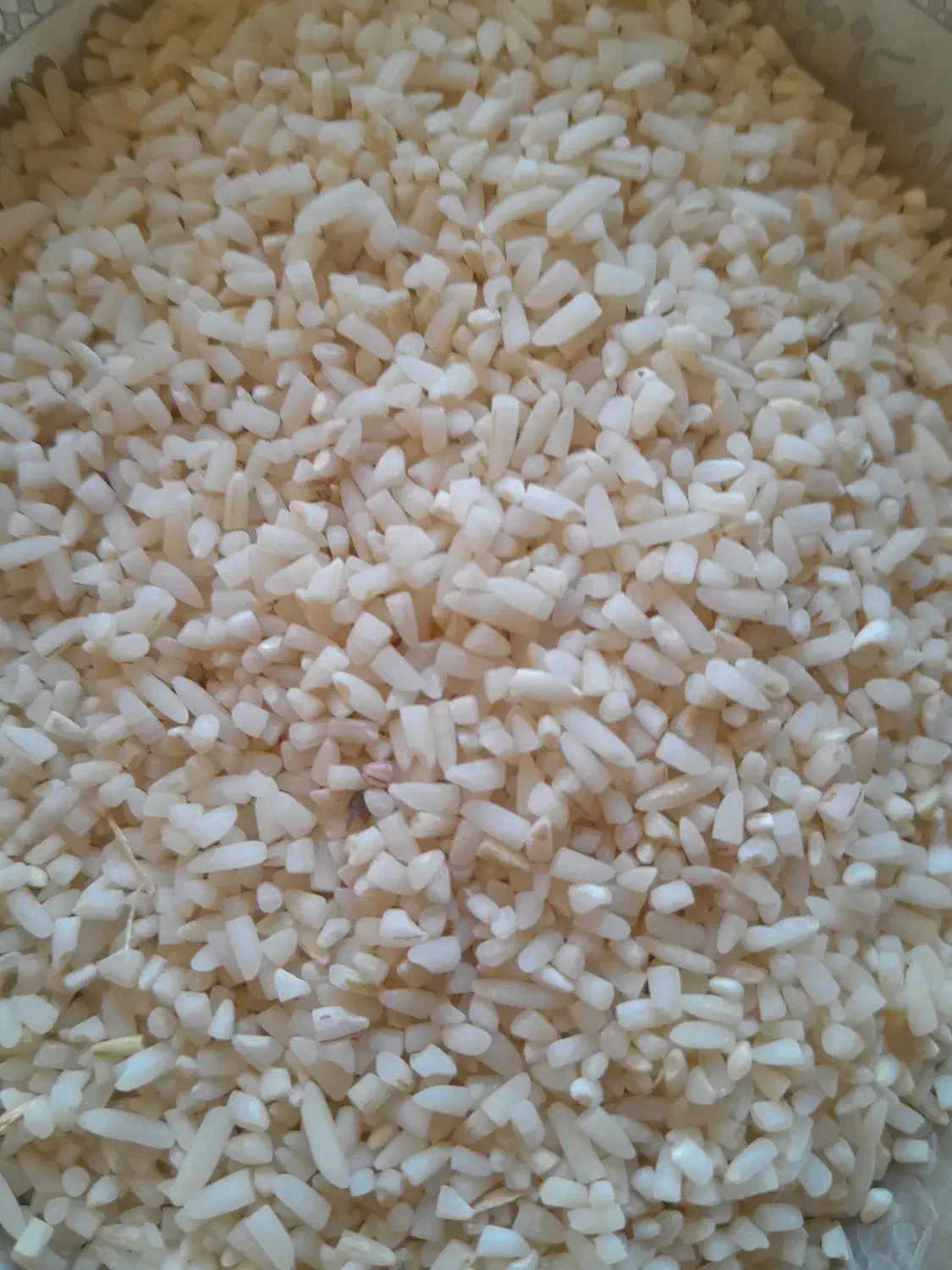 سلام نمیدانم هاشمی بشرط پخت|خوردنی و آشامیدنی|شفت, |دیوار